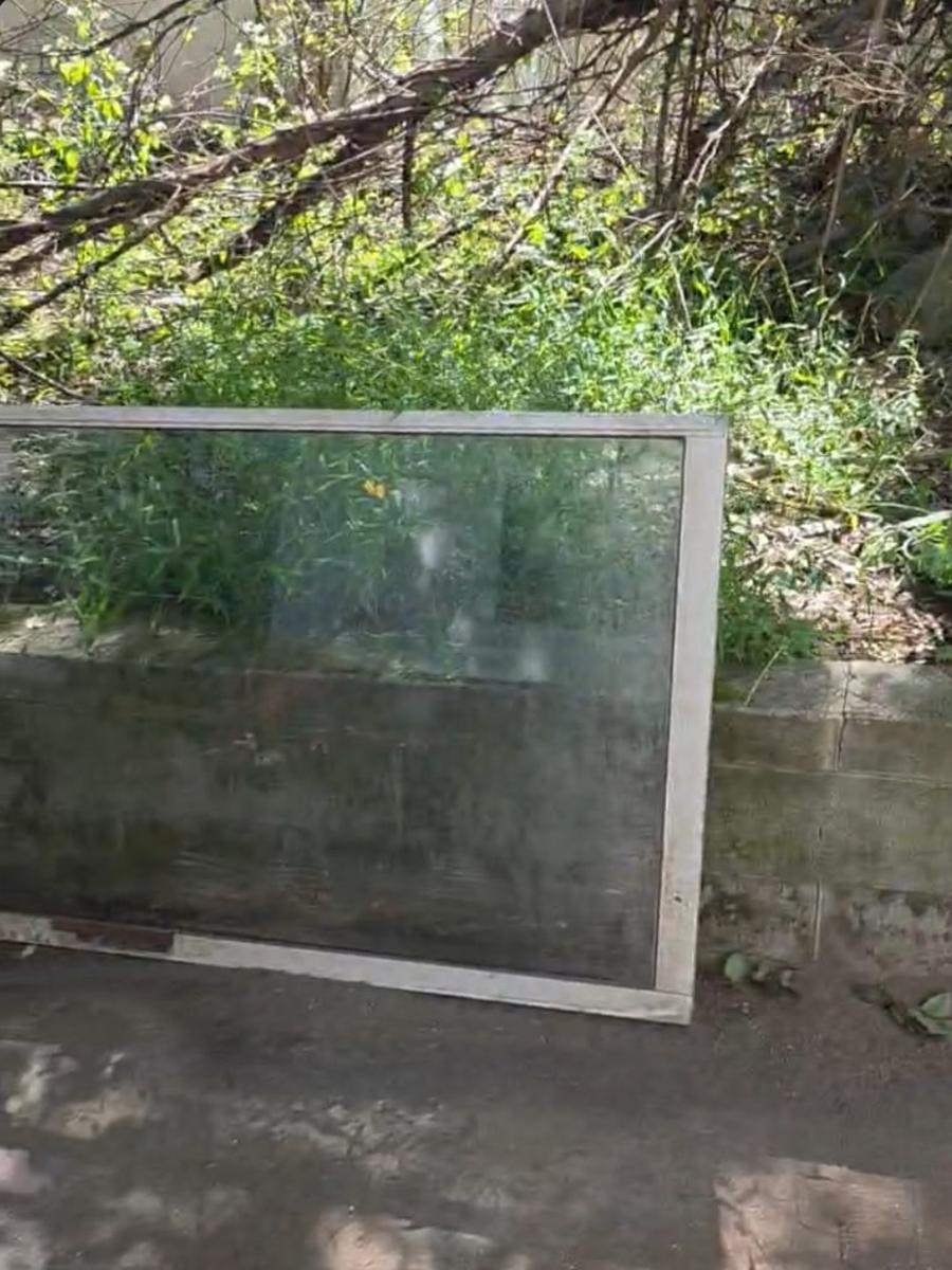 Before: overgrown, moss-covered wall with debris